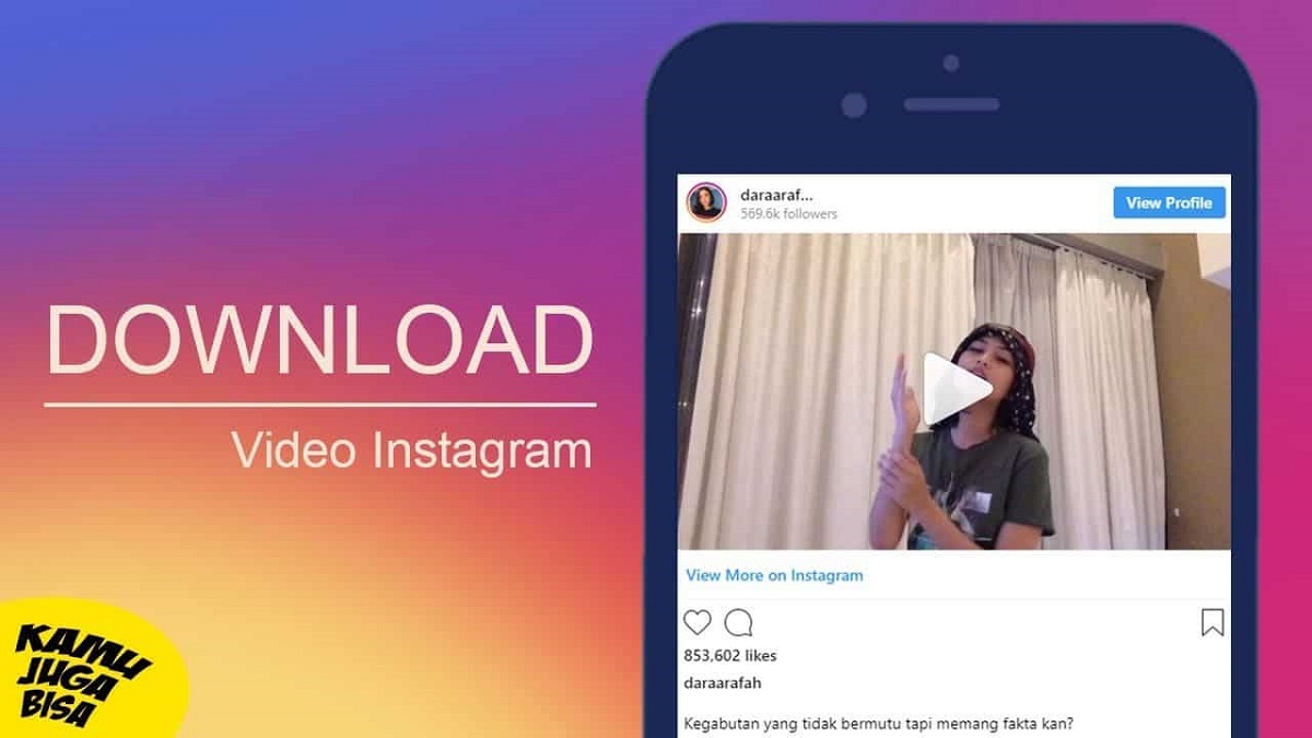 Cara Mudah Download Foto dan Video Instagram